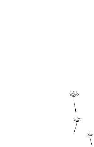 quote von albert einstein
